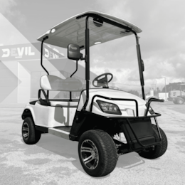 Buggy LK2 2 Lugares