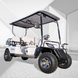 BUGGY LK2 4 Lugares